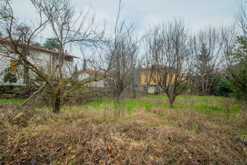 imm_40443-20250304091853-1280-