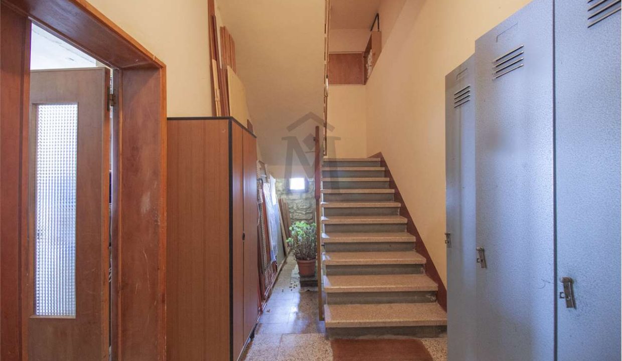 imm_40587-20250307175041-1280-