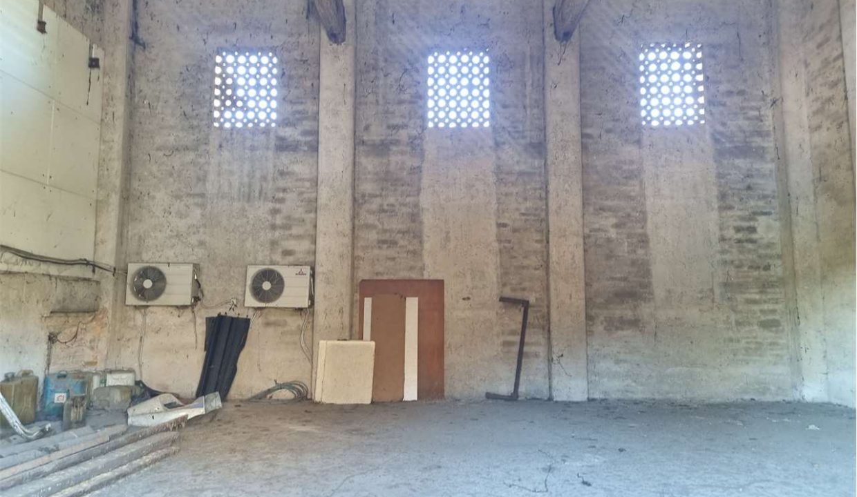 imm_40937-20250313123749-1280-