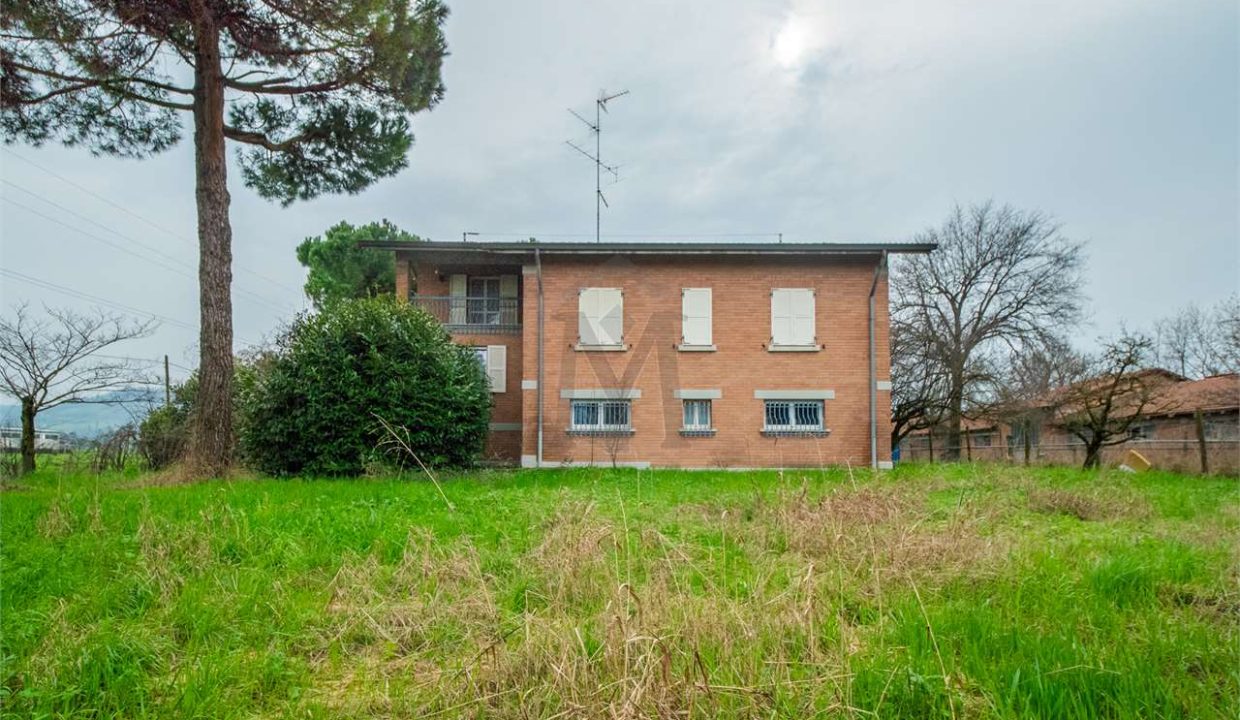 imm_41270-20250408094449-1280-