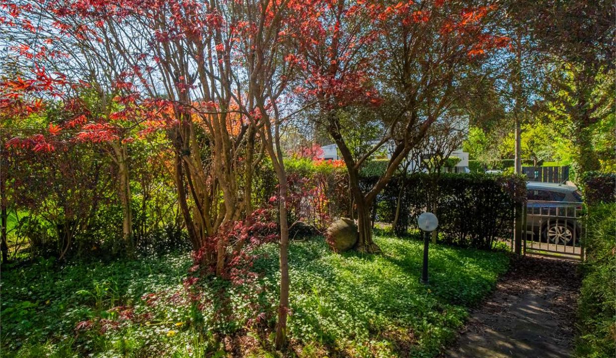 imm_41301-20250409174350-1280-