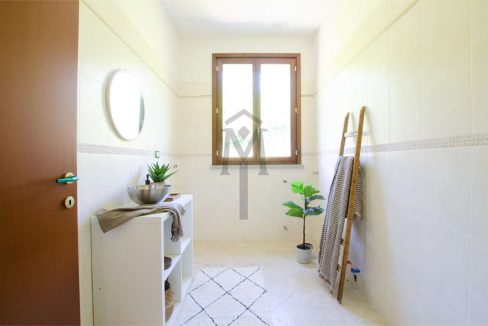 imm_43253-20250529123957-1280-