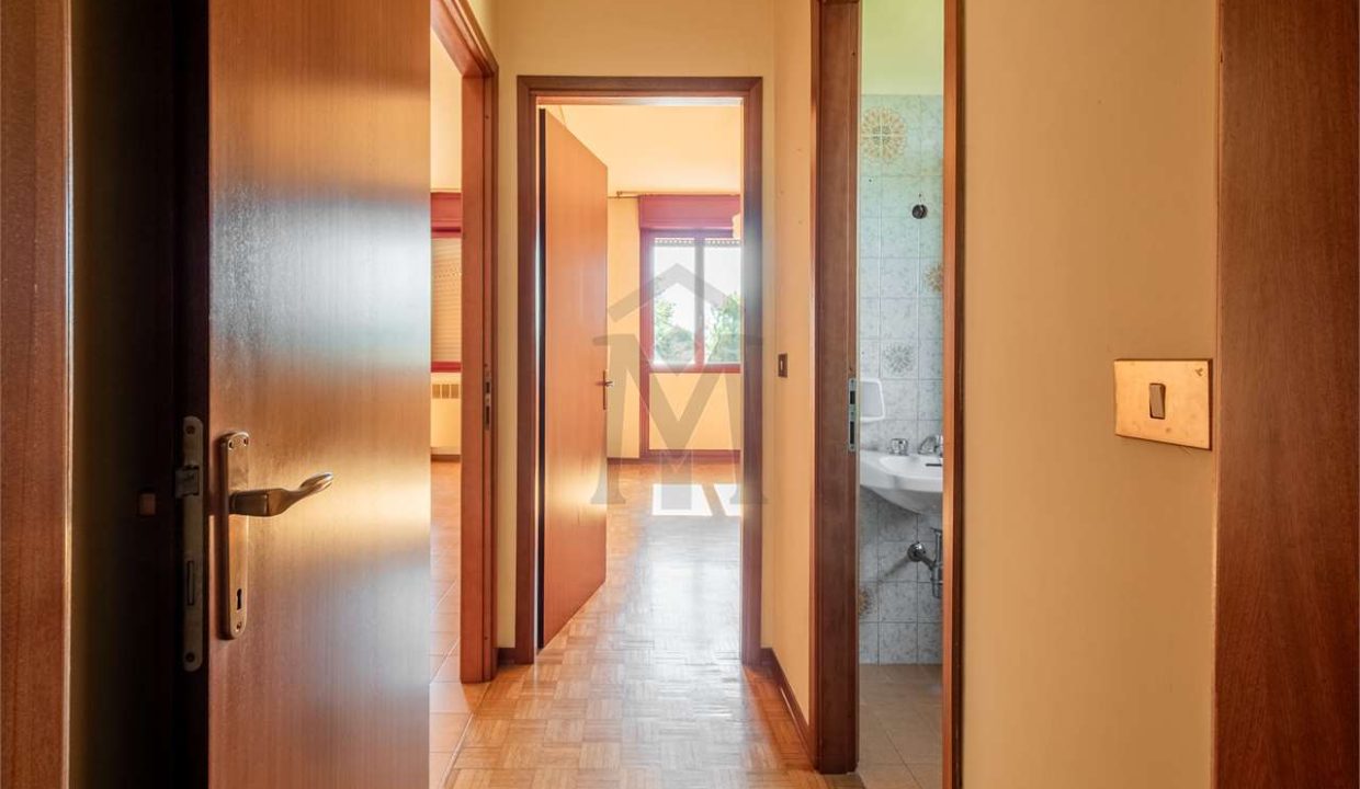 imm_43856-20250716162015-1280-