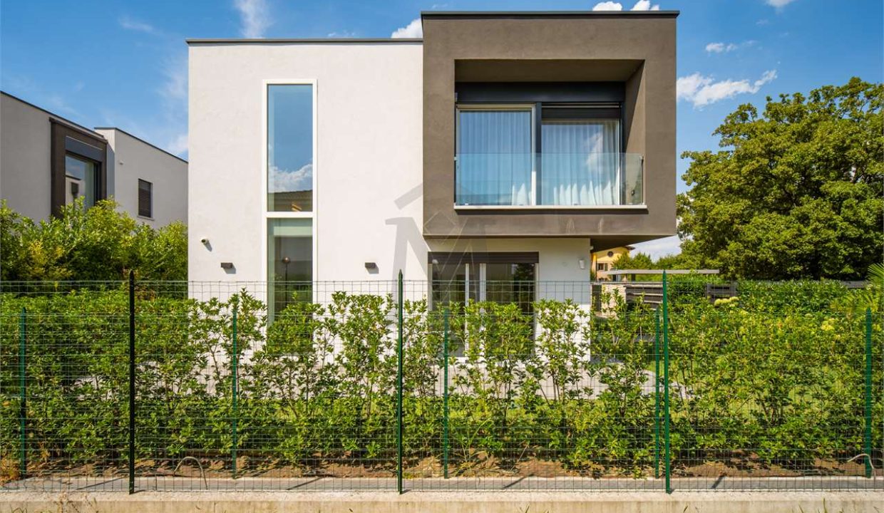 imm_44351-20250731162024-1280-