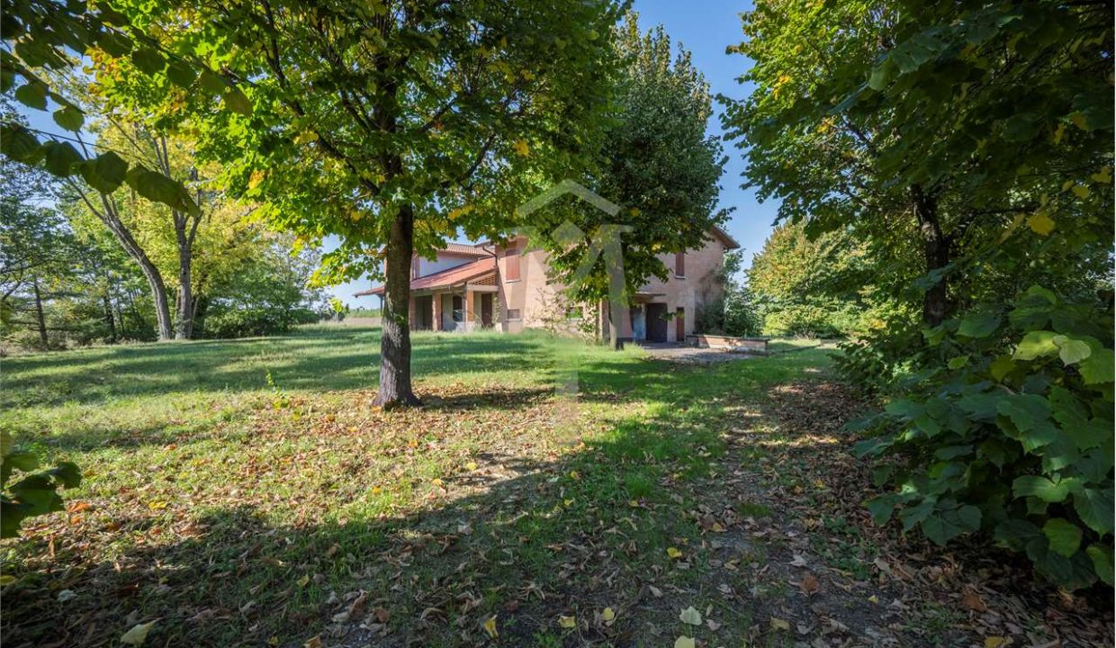 imm_45950-20251024103131-1280-