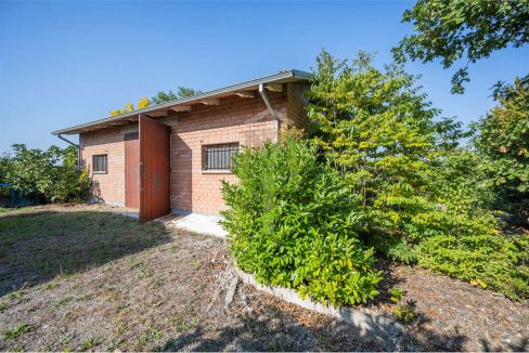 imm_45955-20251024103002-1280-