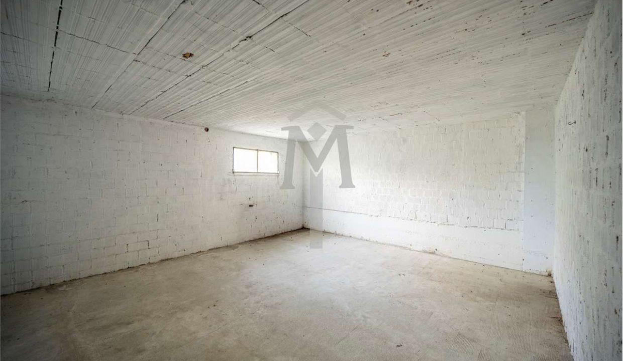 imm_45988-20251024102315-1280-