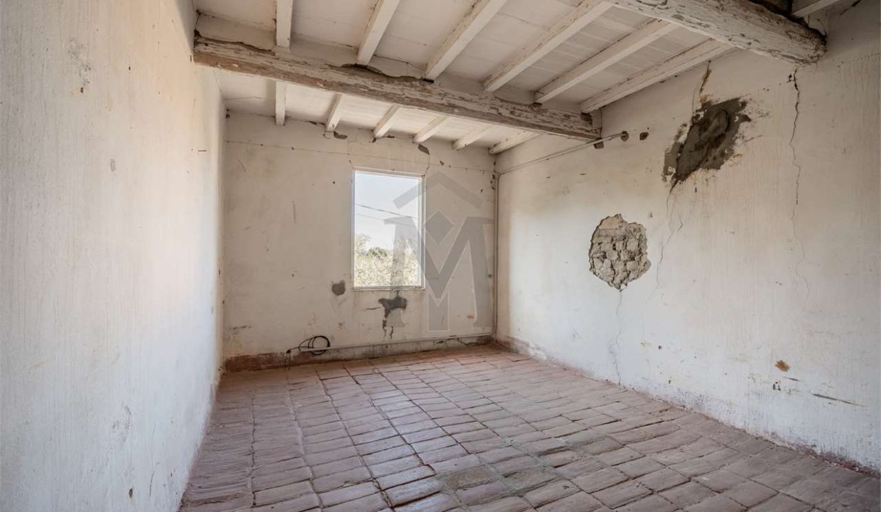 imm_46013-20251021170100-1280-