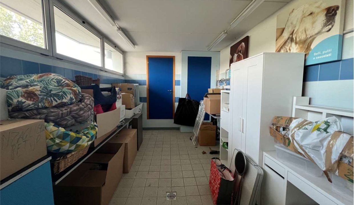 imm_46052-20251023111923-1280-