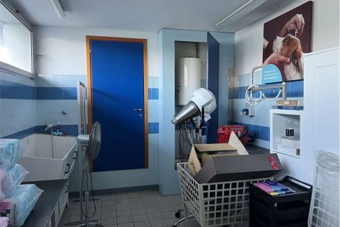 imm_46053-20251023111926-1280-