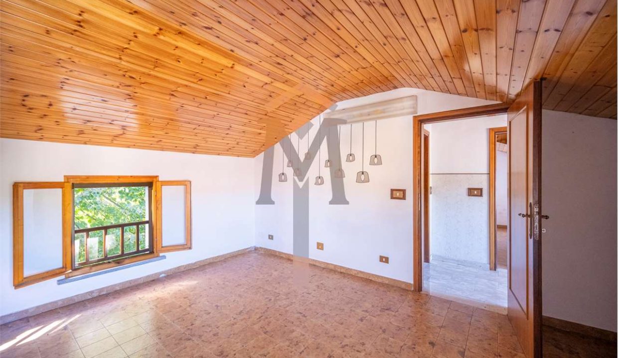 imm_46263-20251104093624-1280-