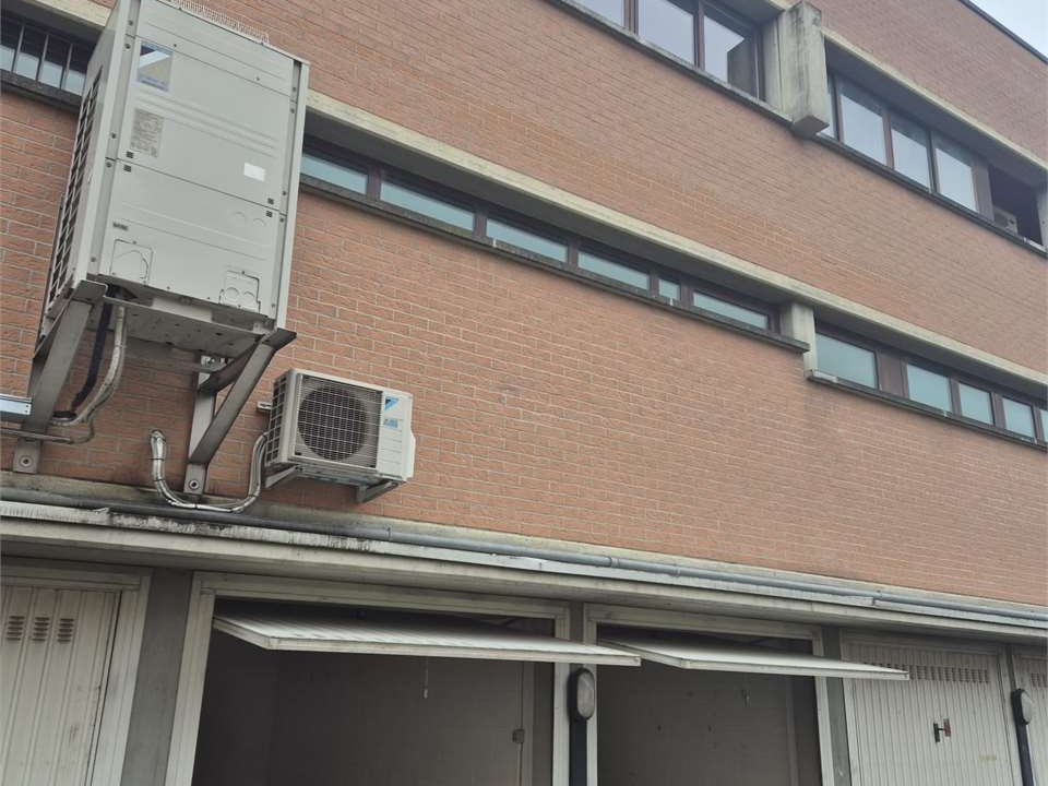 imm_47539-20260116181336-1280