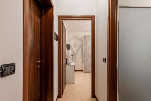 imm_47848-20260203102538-1280-