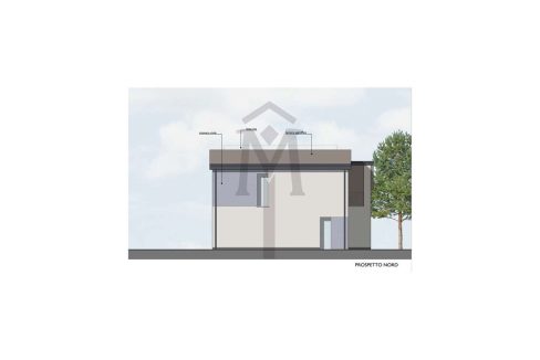 imm_47870-20260205121141-1280-