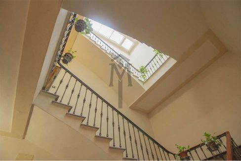 imm_47956-20260216173538-1280-