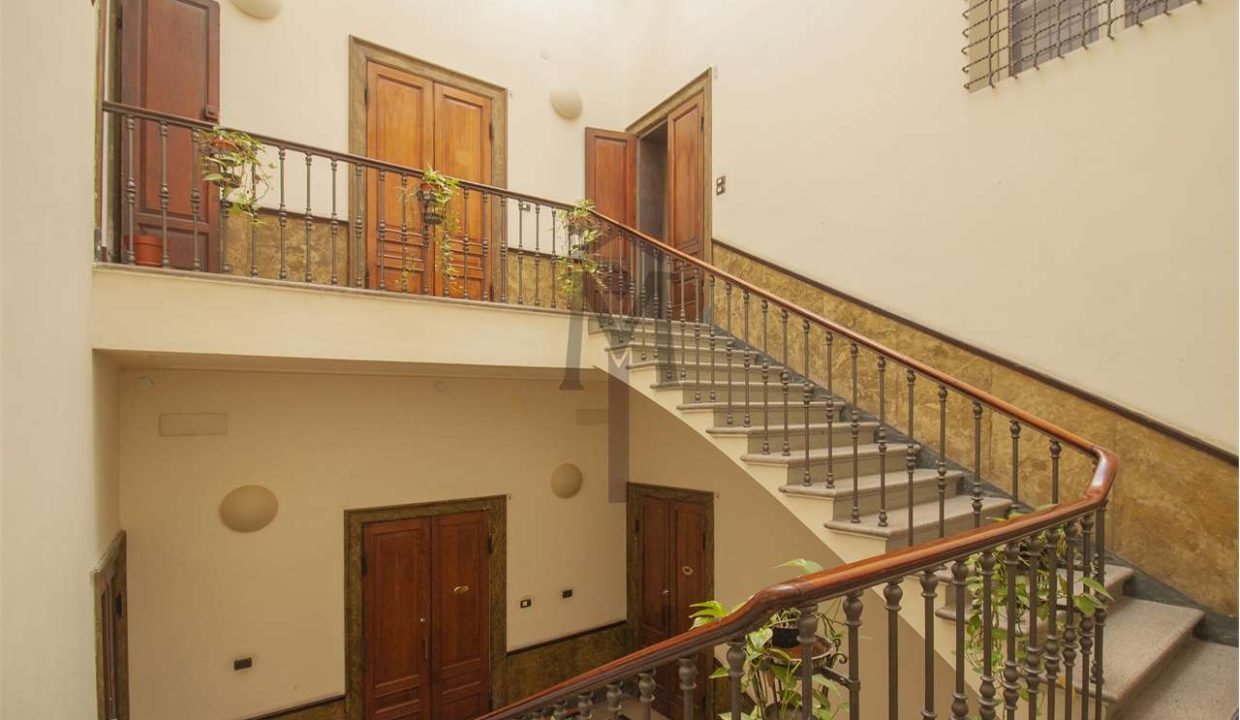 imm_47958-20260216173535-1280-