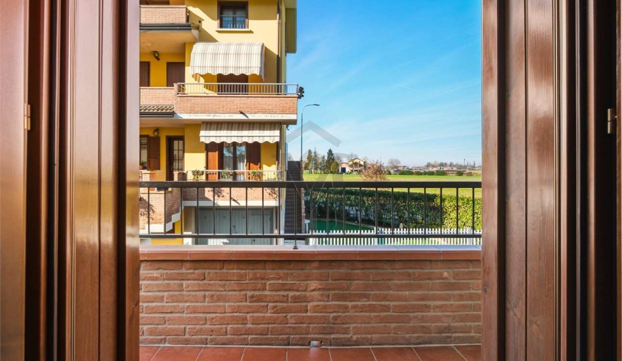 imm_48036-20260218095202-1280-