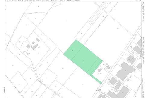 imm_48061-20260219191431-1280-