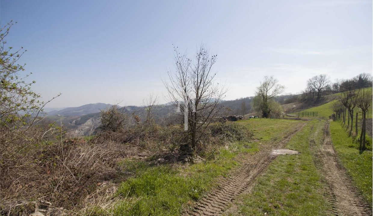 imm_28954-20250709171648-1280-