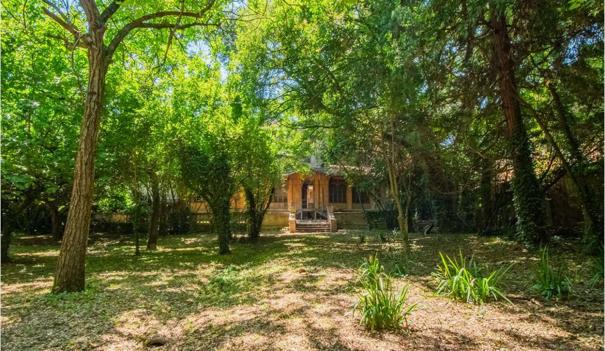 imm_36252-20250507182523-1280-