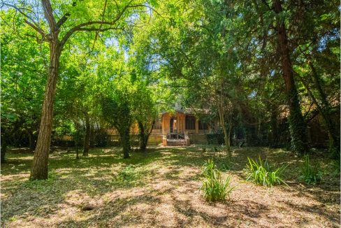 imm_36252-20250507182523-1280-