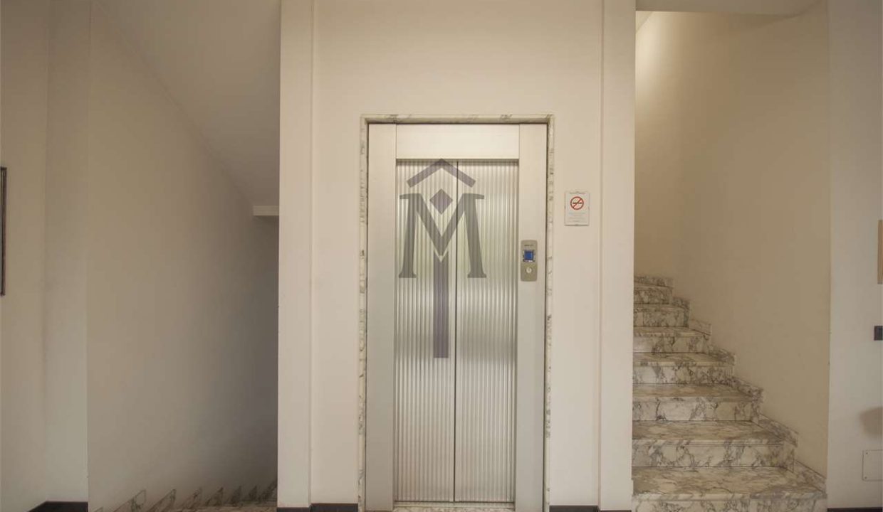 imm_37661-20241007115049-1280-