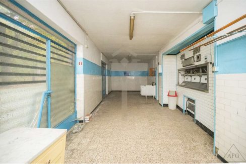 imm_38533-20251203101703-1280-