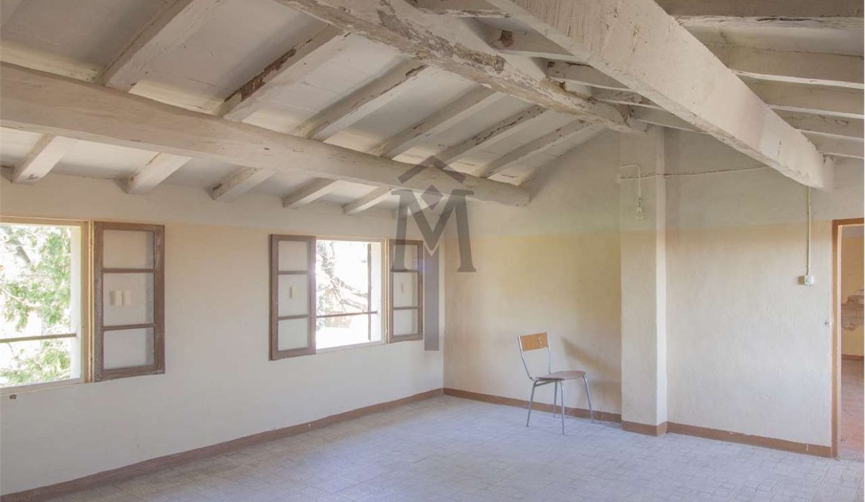 imm_38612-20250304171737-1280-