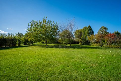 imm_38822-20241114180756-1280-