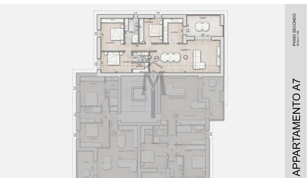 imm_40314-20250220123917-1280-