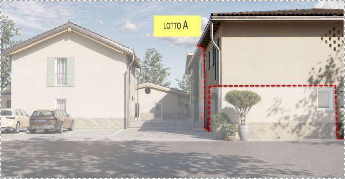 imm_40364-20250226114618-699-