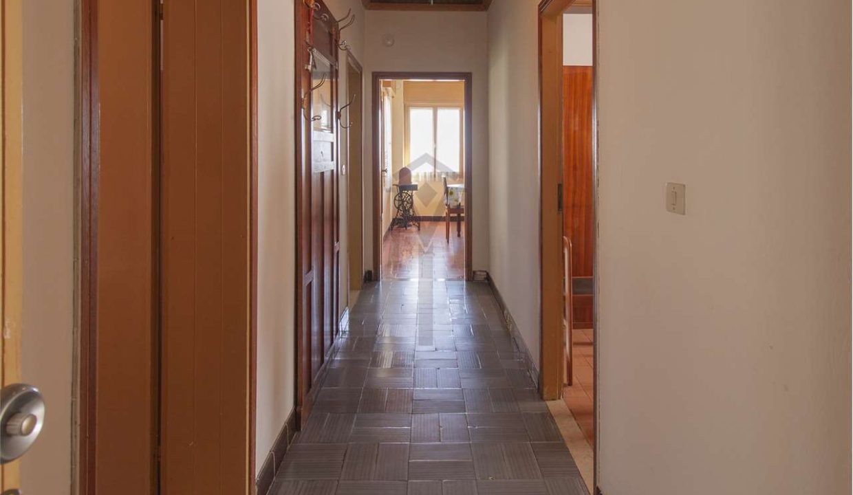 imm_40595-20250307174746-1280-