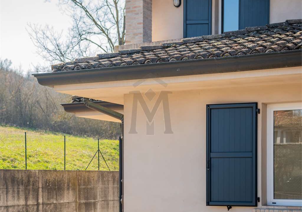 imm_40787-20250313162854-1280