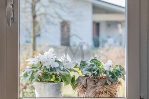 imm_40810-20250313160442-1280