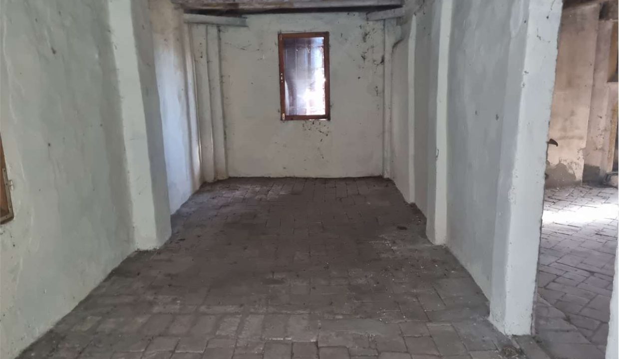 imm_40919-20250313124040-1280-