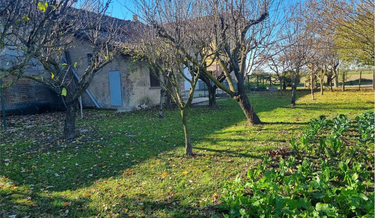 imm_40950-20250313124317-1280-