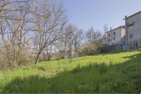 imm_41410-20251127172453-1280-