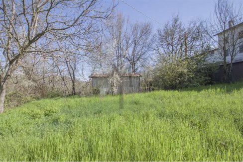 imm_41411-20251127172616-1280-