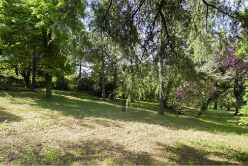 imm_41714-20250801162556-1280-