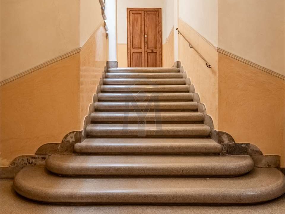 imm_43195-20250605112313-1280