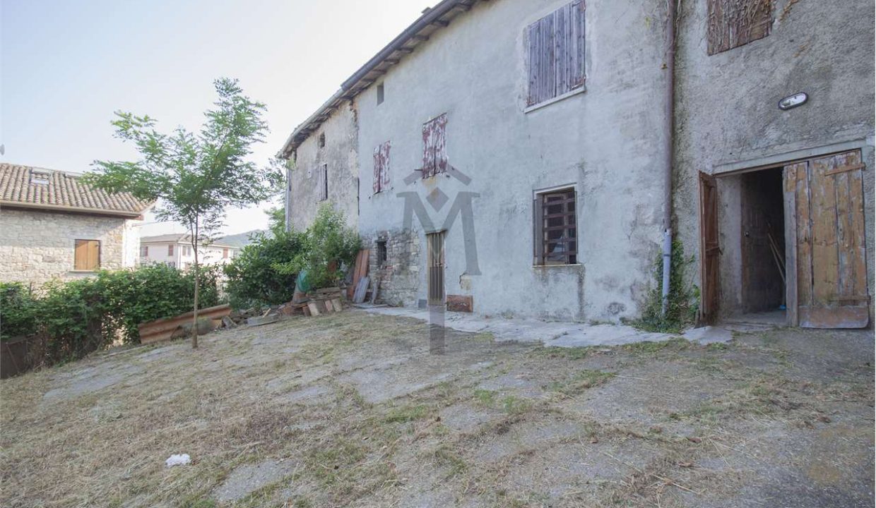 imm_43606-20250623170500-1280-