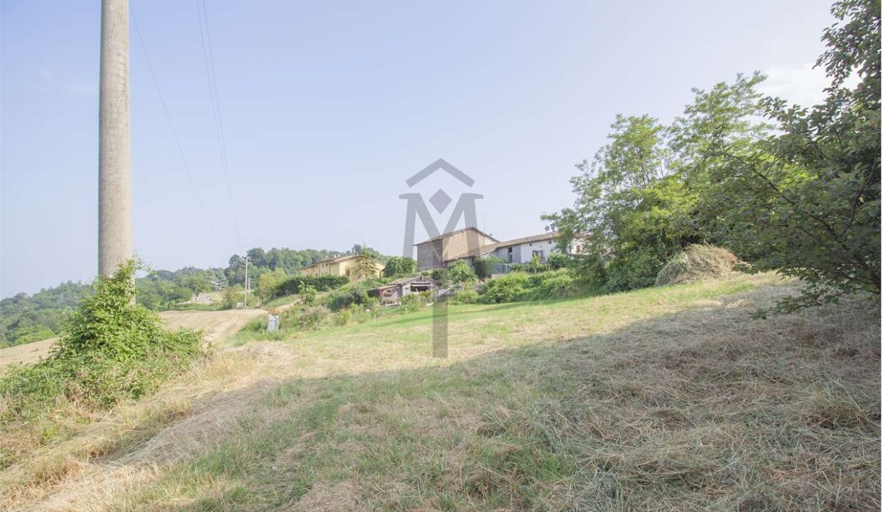 imm_43608-20250623170537-1280-