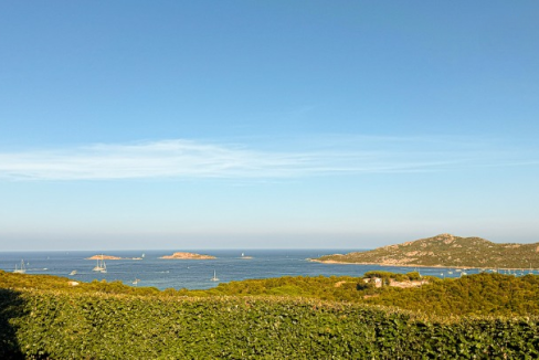 imm_43672-20250703092121-720-