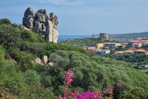 imm_43707-20250703105446-720-