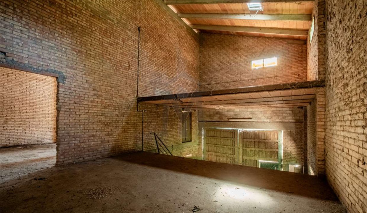 imm_43871-20250716174909-1280-