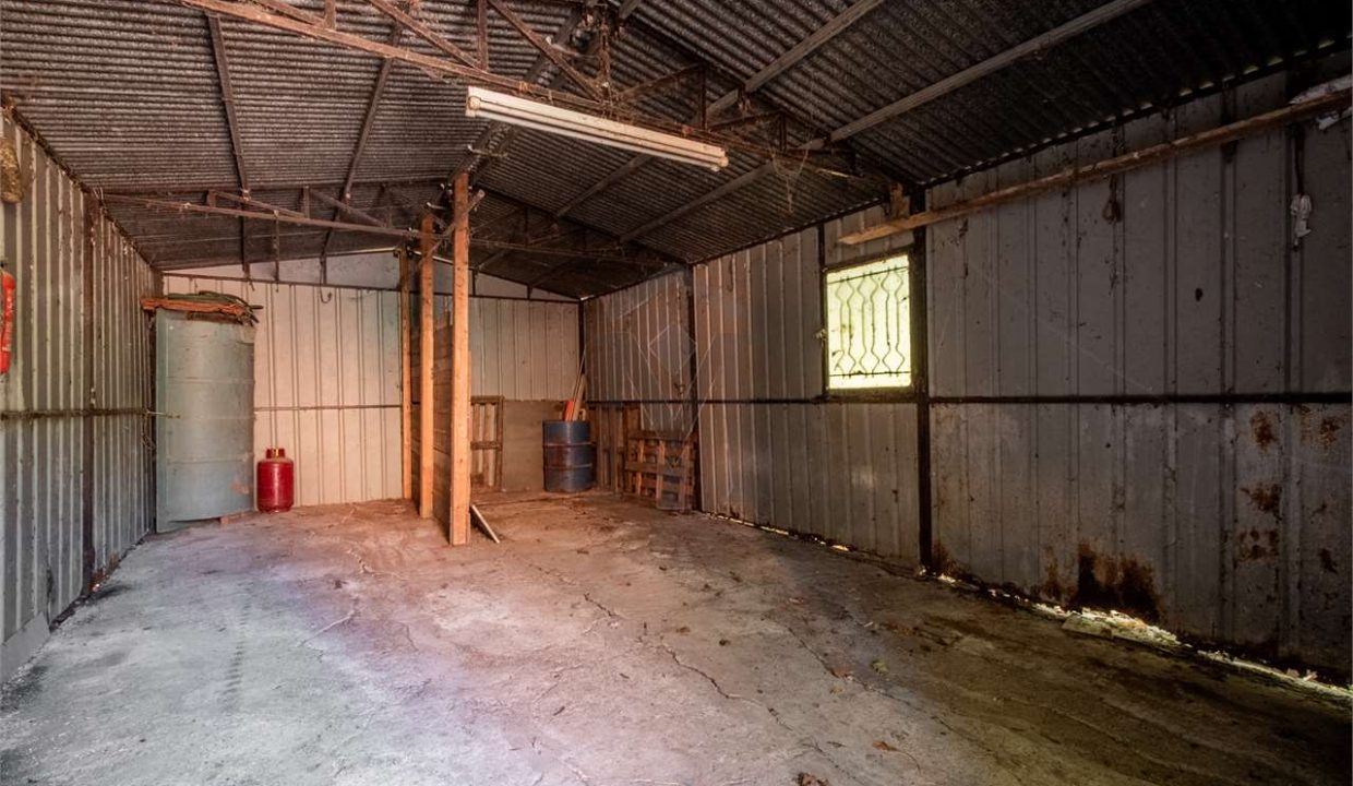 imm_43872-20250716174931-1280-