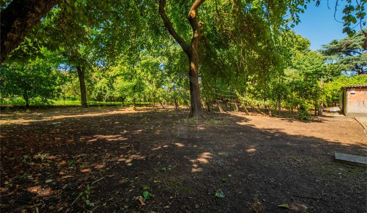 imm_43873-20250716174951-1280-