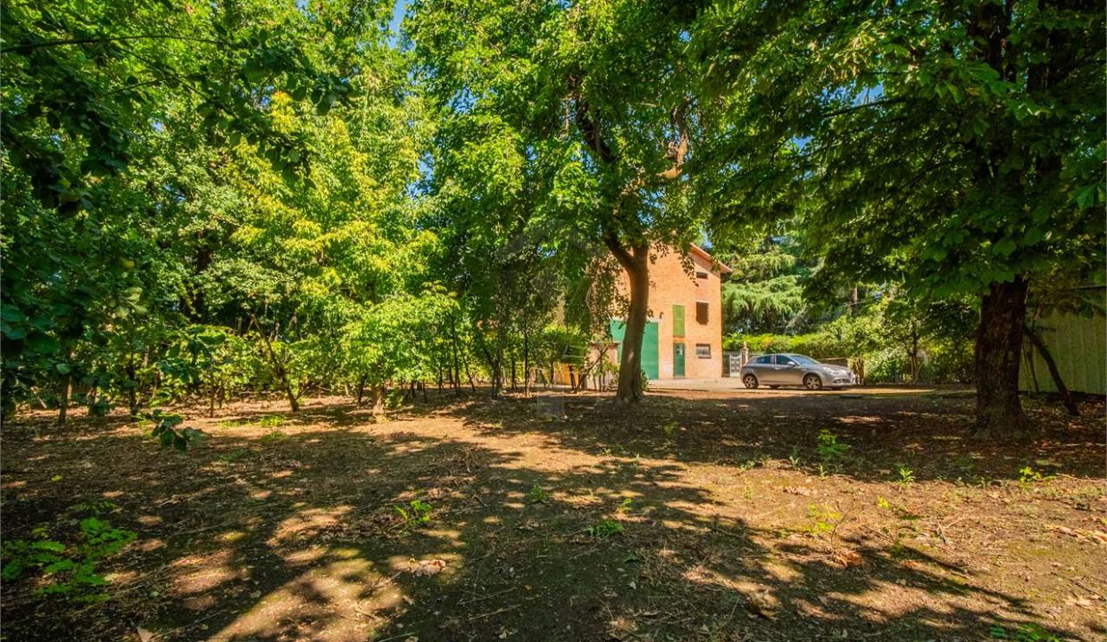 imm_43875-20250716174815-1280-