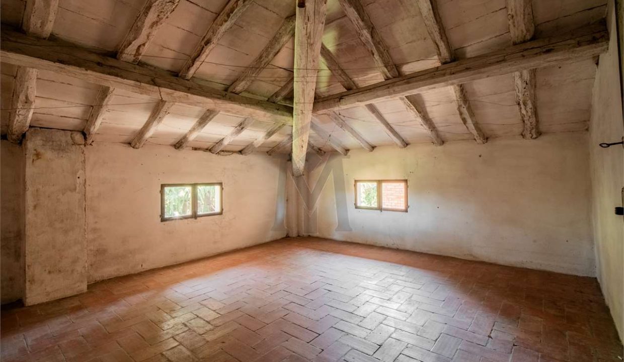 imm_43894-20250716173816-1280-