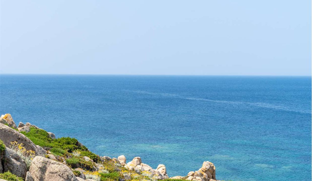 imm_44060-20250722151345-1280-